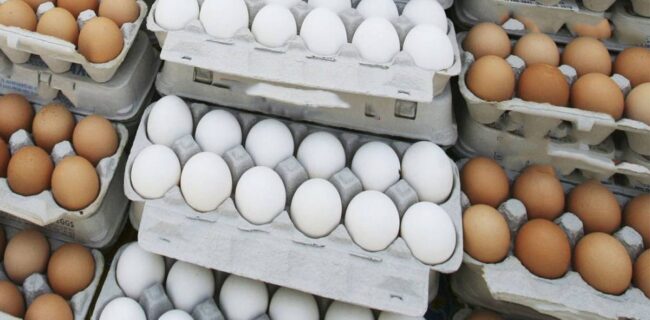 فوری: قیمت جدید تخم مرغ اعلام شد